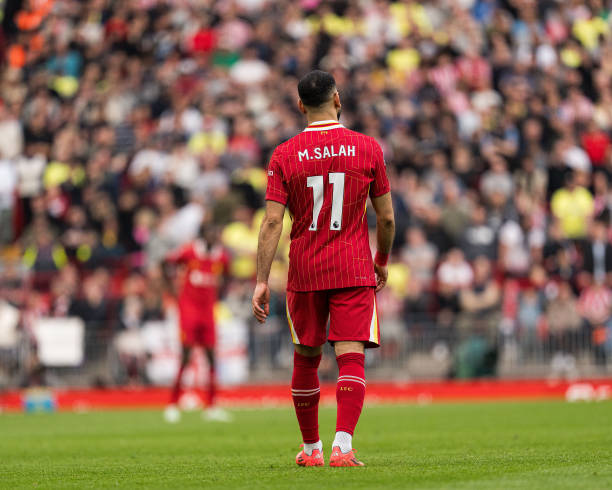 队带来了新 队带来了新