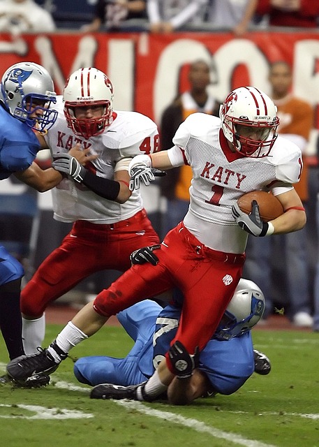 与国际种质 与国际种质